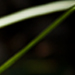 t9